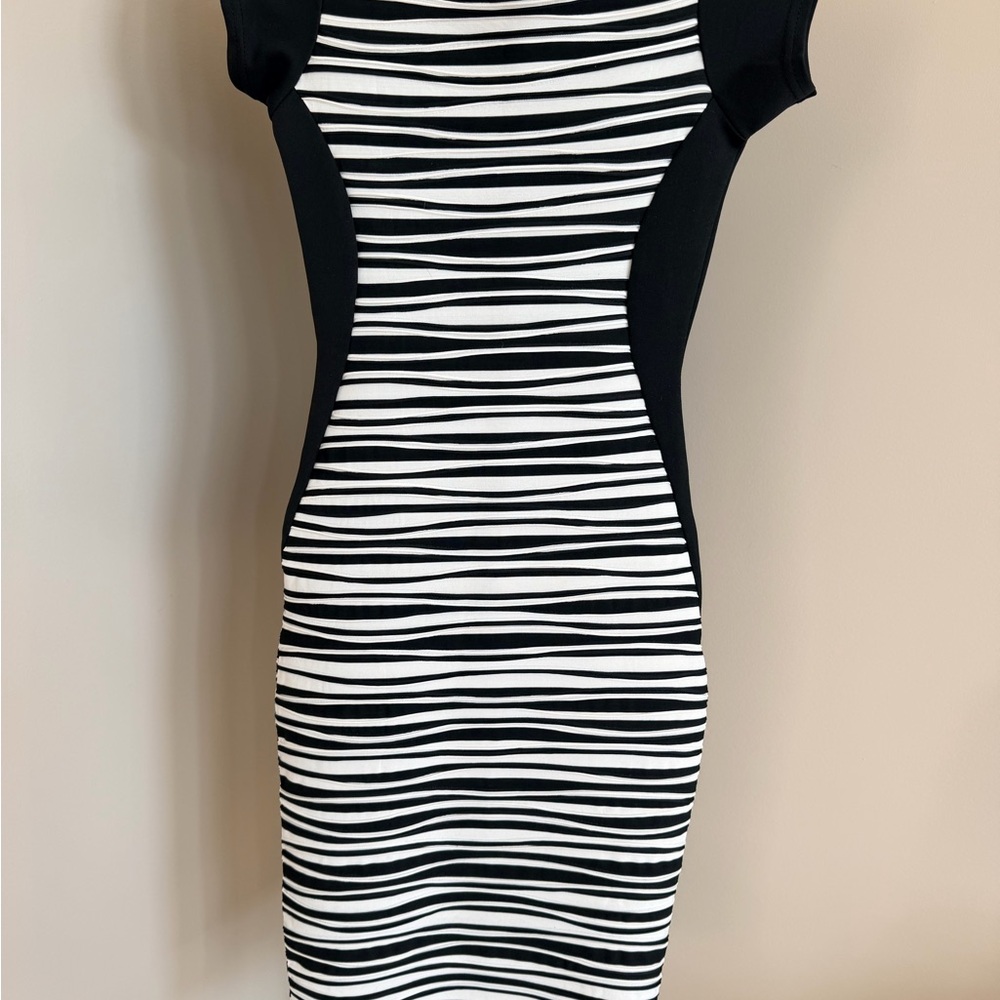 Form Fitting Black and White Striped Dress